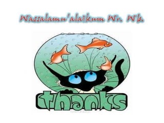 coelenterata (cnidaria) shintt's