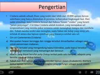 Pengertian
• Cnidaria adalah sebuah filum yang terdiri dari lebih dari 10.000 spesies hewan
sederhana yang hanya ditemukan di perairan, kebanyakan lingkungan laut. Dari
sudut etimologi, kata Cnidaria berasal dari bahasa Yunani "cnidos" yang berarti
"jarum penyengat". Ciri khas Cnidaria adalah knidosit, yang merupakan sel
terspesialisasi yang mereka pakai terutama untuk menangkap mangsa dan membela
diri. Tubuh mereka terdiri atas mesoglea, suatu bahan tak hidup yang mirip jeli,
terletak di antara dua lapisan epitelium yang biasanya setebal satu sel.
• Ciri-ciri Coelenterata (Cnidaria)
a) Merupakan hewan berongga dan rongga tersebut dimanfaatkan sebagai usus
untuk pencernaan makanan.
b) Memiliki tentakel yang mengandung kapsul kidnoblas, pada kapsul tersebut
terdapat sel nematosit yang menyengat dan beracun
c) Hewan yang dapat bersifat polip (hidup terikat pada satu tempat), adapula yang
bersifat medusa (Hidup bebas).
d) Tubuh memiliki lapisan luar (Ektoderm) dan lapisan dalam (Endoderm), diantara
kedua lapisan tersebut terdapat mesoglea yang berfungsi sebagai pusat sistem
persarafan.
•
 