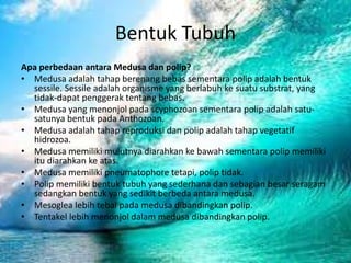 Bentuk Tubuh
Apa perbedaan antara Medusa dan polip?
• Medusa adalah tahap berenang bebas sementara polip adalah bentuk
sessile. Sessile adalah organisme yang berlabuh ke suatu substrat, yang
tidak-dapat penggerak tentang bebas.
• Medusa yang menonjol pada scyphozoan sementara polip adalah satu-
satunya bentuk pada Anthozoan.
• Medusa adalah tahap reproduksi dan polip adalah tahap vegetatif
hidrozoa.
• Medusa memiliki mulutnya diarahkan ke bawah sementara polip memiliki
itu diarahkan ke atas.
• Medusa memiliki pneumatophore tetapi, polip tidak.
• Polip memiliki bentuk tubuh yang sederhana dan sebagian besar seragam
sedangkan bentuk yang sedikit berbeda antara medusa.
• Mesoglea lebih tebal pada medusa dibandingkan polip.
• Tentakel lebih menonjol dalam medusa dibandingkan polip.
 
