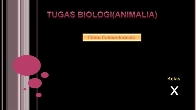Tugas Biologi Animalia Filum Echinodermata