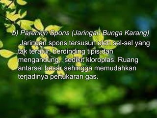 b) Parenkin Spons (Jaringan Bunga Karang) 
Jaringan spons tersusun oleh sel-sel yang 
tak teratur, berdinding tipis,dan 
mengandung sedikit kloroplas. Ruang 
antarsel besar sehingga memudahkan 
terjadinya pertukaran gas. 
 