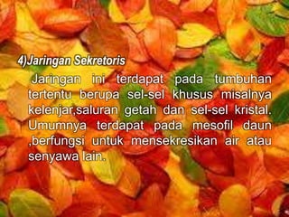 4)Jaringan Sekretoris 
Jaringan ini terdapat pada tumbuhan 
tertentu berupa sel-sel khusus misalnya 
kelenjar,saluran getah dan sel-sel kristal. 
Umumnya terdapat pada mesofil daun 
,berfungsi untuk mensekresikan air atau 
senyawa lain. 
 