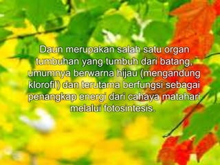 Daun merupakan salah satu organ 
tumbuhan yang tumbuh dari batang, 
umumnya berwarna hijau (mengandung 
klorofil) dan terutama berfungsi sebagai 
penangkap energi dari cahaya matahari 
melalui fotosintesis. 
 