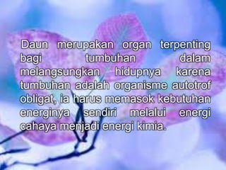 Daun merupakan organ terpenting 
bagi tumbuhan dalam 
melangsungkan hidupnya karena 
tumbuhan adalah organisme autotrof 
obligat, ia harus memasok kebutuhan 
energinya sendiri melalui energi 
cahaya menjadi energi kimia. 
 
