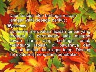 Daun tersusn oleh berbagai macam 
jaringan yaitu sebagai berikut : 
1)Epidermis 
Epidermis merupakan lapisan terluar yang 
terdapat di permukaan atas maupun 
bawah daun yang berfungsi untuk 
melindungi lapisan di bawahnya dan 
menjaa bentuk daun agar tetap. Dinding 
sel epidermis mengalami penebalan . 
 