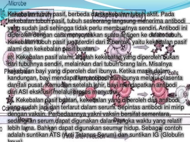 Kekebalan Tubuh Yang Terbentuk Setelah Seseorang Divaksinasi Adalah Kekebalan Tubuh Yang Terbentuk Setelah Seseorang Divaksinasi Adalah