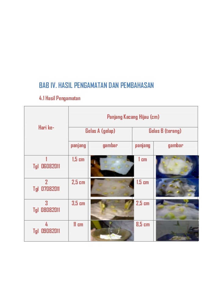 Laporan Ilmiah pertumbuhan kecambah 