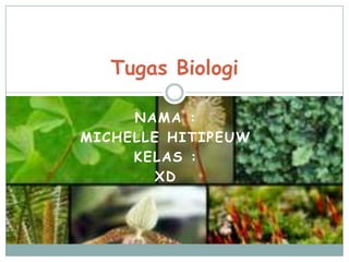 Tugas Biologi

     NAMA :
MICHELLE HITIPEUW
     KELAS :
        XD
 