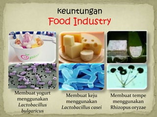 keuntungan
             Food Industry




Membuat yogurt
                   Membuat keju        Membuat tempe
 menggunakan
                   menggunakan          menggunakan
 Lactobacillus
                 Lactobacillus casei   Rhizopus oryzae
  bulgaricus
 