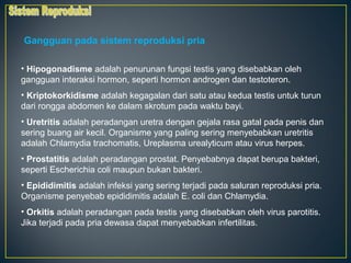 Gangguan pada sistem reproduksi pria

• Hipogonadisme adalah penurunan fungsi testis yang disebabkan oleh
gangguan interaksi hormon, seperti hormon androgen dan testoteron.
• Kriptokorkidisme adalah kegagalan dari satu atau kedua testis untuk turun
dari rongga abdomen ke dalam skrotum pada waktu bayi.
• Uretritis adalah peradangan uretra dengan gejala rasa gatal pada penis dan
sering buang air kecil. Organisme yang paling sering menyebabkan uretritis
adalah Chlamydia trachomatis, Ureplasma urealyticum atau virus herpes.
• Prostatitis adalah peradangan prostat. Penyebabnya dapat berupa bakteri,
seperti Escherichia coli maupun bukan bakteri.
• Epididimitis adalah infeksi yang sering terjadi pada saluran reproduksi pria.
Organisme penyebab epididimitis adalah E. coli dan Chlamydia.
• Orkitis adalah peradangan pada testis yang disebabkan oleh virus parotitis.
Jika terjadi pada pria dewasa dapat menyebabkan infertilitas.
 