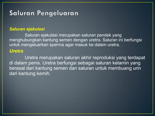 Saluran ejakulasi
       Saluran ejakulasi merupakan saluran pendek yang
menghubungkan kantung semen dengan uretra. Saluran ini berfungsi
untuk mengeluarkan sperma agar masuk ke dalam uretra.
Uretra
       Uretra merupakan saluran akhir reproduksi yang terdapat
di dalam penis. Uretra berfungsi sebagai saluran kelamin yang
berasal dari kantung semen dan saluran untuk membuang urin
dari kantung kemih.
 