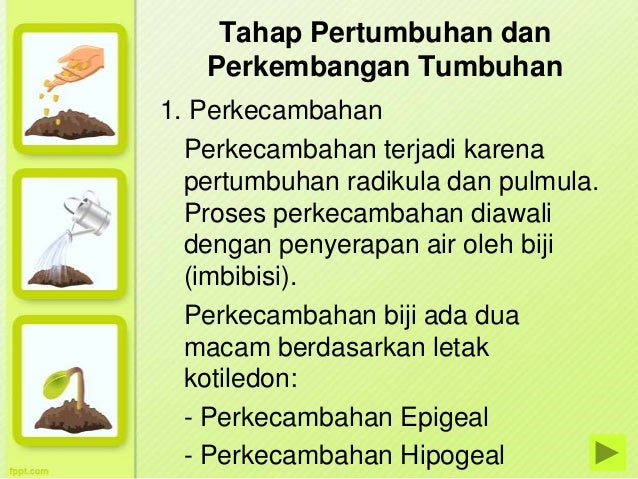 Tugas Biologi Xii Ipa 3 Tugas Biologi Xii Ipa 3