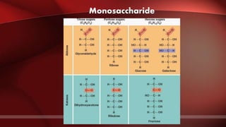 Monosaccharide
 