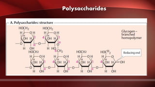 Polysaccharides
 