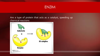 Are a type of protein that acts as a catalyst, speeding up
chemical reactions
ENZIM
 