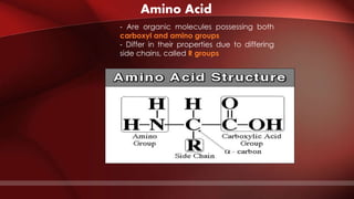 Amino Acid
- Are organic molecules possessing both
carboxyl and amino groups
- Differ in their properties due to differing
side chains, called R groups
 