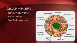 • Dewi Anggi Pratiwi
• Risa Andriani
• Tari Rezky Ayunda
GROUP MEMBERS :
 