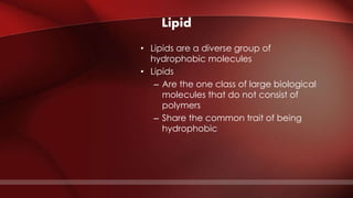 Lipid
• Lipids are a diverse group of
hydrophobic molecules
• Lipids
– Are the one class of large biological
molecules that do not consist of
polymers
– Share the common trait of being
hydrophobic
 
