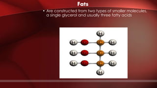 Fats
• Are constructed from two types of smaller molecules,
a single glycerol and usually three fatty acids
 