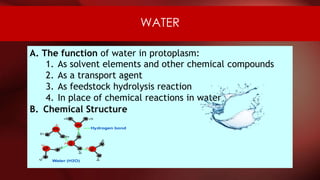 WATER
A. The function of water in protoplasm:
1. As solvent elements and other chemical compounds
2. As a transport agent
3. As feedstock hydrolysis reaction
4. In place of chemical reactions in water
B. Chemical Structure
 