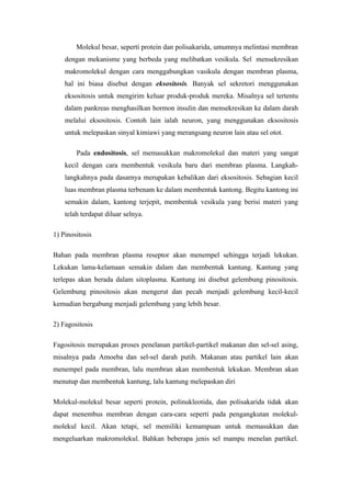 Molekul besar, seperti protein dan polisakarida, umumnya melintasi membran
    dengan mekanisme yang berbeda yang melibatkan vesikula. Sel mensekresikan
    makromolekul dengan cara menggabungkan vasikula dengan membran plasma,
    hal ini biasa disebut dengan eksositosis. Banyak sel sekretori menggunakan
    eksositosis untuk mengirim keluar produk-produk mereka. Misalnya sel tertentu
    dalam pankreas menghasilkan hormon insulin dan mensekresikan ke dalam darah
    melalui eksositosis. Contoh lain ialah neuron, yang menggunakan eksositosis
    untuk melepaskan sinyal kimiawi yang merangsang neuron lain atau sel otot.

        Pada endositosis, sel memasukkan makromolekul dan materi yang sangat
    kecil dengan cara membentuk vesikula baru dari membran plasma. Langkah-
    langkahnya pada dasarnya merupakan kebalikan dari eksositosis. Sebagian kecil
    luas membran plasma terbenam ke dalam membentuk kantong. Begitu kantong ini
    semakin dalam, kantong terjepit, membentuk vesikula yang berisi materi yang
    telah terdapat diluar selnya.

1) Pinositosis

Bahan pada membran plasma reseptor akan menempel sehingga terjadi lekukan.
Lekukan lama-kelamaan semakin dalam dan membentuk kantung. Kantung yang
terlepas akan berada dalam sitoplasma. Kantung ini disebut gelembung pinositosis.
Gelembung pinositosis akan mengerut dan pecah menjadi gelembung kecil-kecil
kemudian bergabung menjadi gelembung yang lebih besar.

2) Fagositosis

Fagositosis merupakan proses penelanan partikel-partikel makanan dan sel-sel asing,
misalnya pada Amoeba dan sel-sel darah putih. Makanan atau partikel lain akan
menempel pada membran, lalu membran akan membentuk lekukan. Membran akan
menutup dan membentuk kantung, lalu kantung melepaskan diri

Molekul-molekul besar seperti protein, polinukleotida, dan polisakarida tidak akan
dapat menembus membran dengan cara-cara seperti pada pengangkutan molekul-
molekul kecil. Akan tetapi, sel memiliki kemampuan untuk memasukkan dan
mengeluarkan makromolekul. Bahkan beberapa jenis sel mampu menelan partikel.
 