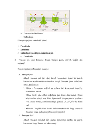 b. Transpor Molekul Besar
        •   Endositosis
     Terdapat tiga jenis endositosis yaitu :

     1. Fagositosis
     2. Pinositosis
     3. Endositosis yang diperantarai reseptor,
        •   Eksositosis
2.    Jelaskan apa yang dimaksud dengan transpor pasif, simport, uniport dan
     antiport ?

     Transpor pada membran ada 2 macam :

      a. Transpor pasif
            Adalah transpor zat dari dari daerah konsentarsi tinggi ke daerah
            konsentrasi rendah tanpa memerlukan energi. Transpor pasif terdiri atas
            difusi, dan osmosis
            1. Difusi : Pergerakan molekul zat terlarut dari konsentrasi tinggi ke
                  konsentrasi rendah
                  Difusi terdiri atas difusi sederhana dan difusi dipermudah. Difusi
                  dipermudah terbagi atas difusi dipermudah dengan protein pembawa
                  dan saluran protein, contoh masuknya glukosa, Cl-, Ca2+, Na2+ ke dalam
                  sel
            2. Osmosis : Pergerakan zat pelarut dari daerah kadar air tinggi ke daerah
                  kadar air tinggi melalui membran semipermeabel
      b. Transpor aktif

            Adalah transpor molekul dari daerah konsentrasi rendah ke daerah
            konsentrasi tinggi dan memerlukan energi
 