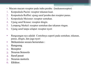 • Macam macam reseptor pada indra peraba : (mekanoreseptor)
1. Korpuskula Pacini: reseptor tekanan kuat.
2. Korpuskula Ruffini: ujung saraf peraba dan reseptor panas.
3. Korpuskula Meissner: reseptor sentuhan.
4. Ujung saraf Krause: reseptor dingin.
5. Lempeng Merkel: reseptor sentuhan dan tekanan ringan.
6. Ujung saraf tanpa selaput: reseptor nyeri
 Rangsangan nya adalah Contohnya seperti pada sentuhan, tekanan,
panas, dingin, dan juga nyeri
 Mekanisme secara berurutan :
1. Rangsang
2. Reseptor
3. Neuron Sensoris
4. Saraf pusat
5. Neuron motoris
6. Efektor.
 