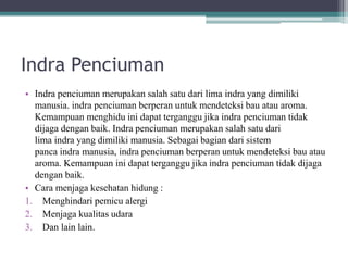 Indra Penciuman
• Indra penciuman merupakan salah satu dari lima indra yang dimiliki
manusia. indra penciuman berperan untuk mendeteksi bau atau aroma.
Kemampuan menghidu ini dapat terganggu jika indra penciuman tidak
dijaga dengan baik. Indra penciuman merupakan salah satu dari
lima indra yang dimiliki manusia. Sebagai bagian dari sistem
panca indra manusia, indra penciuman berperan untuk mendeteksi bau atau
aroma. Kemampuan ini dapat terganggu jika indra penciuman tidak dijaga
dengan baik.
• Cara menjaga kesehatan hidung :
1. Menghindari pemicu alergi
2. Menjaga kualitas udara
3. Dan lain lain.
 