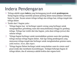 Indera Pendengaran
 Telinga adalah organ indera yang bertanggung jawab untuk pendengaran.
Setiap bagian telinga memiliki peranan penting dalam menyediakan informasi
bunyi ke otak. Secara umum telinga terbagi atas telinga luar, telinga tengah dan
telinga dalam
 Terdiri dari 3 bagian yaitu :
1. Telinga bagian luar ini berfungsi seperti corong yang berfungsi untuk
mengumpulkan gelombang suara dan menyalurkannya hingga ke gendang
telinga. Telinga luar terdiri dari dua bagian, yaitu daun telinga (pinna) dan
saluran telinga.
2. Telinga bagian berfungsi untuk memindahkan getaran suara dari gendang
telinga menuju telinga bagian dalam. Ada tiga tulang pendengaran yang
menyusun telinga tengah dan berfungsi untuk menghantarkan getaran suara,
yaitu maleus, incus, dan stapes.
3. Telinga bagian Dalam berfungsi untuk menyalurkan suara ke sistem saraf
pusat (otak) dan membantu keseimbangan. Terdapat beberapa bagian di
telinga dalam, dua di antaranya adalah koklea dan organa korti.
 