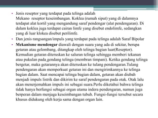 • Jenis reseptor yang terdapat pada telinga adalah
Mekano reseptor keseimbangan. Koklea (rumah siput) yang di dalamnya
terdapat alat kortil yang mengandung saraf pendengar (alat pendengaran). Di
dalam koklea juga terdapat cairan limfe yang disebut endolimfe, sedangkan
yang di luar klokea disebut perilimfe.
• Dan jenis rangsangan/impuls yang terdapat pada telinga adalah Saraf Bipolar
• Mekanisme mendengar diawali dengan suara yang ada di sekitar, berupa
getaran atau gelombang, ditangkap oleh telinga bagian luar(Reseptor).
Kemudian getaran diteruskan ke saluran telinga sehingga memberi tekanan
atau pukulan pada gendang telinga (membran timpani). Ketika gendang telinga
bergetar, maka getarannya akan diteruskan ke tulang pendengaran.Tulang
pendengaran akan memperkuat getaran ini dan mengirimkannya ke telinga
bagian dalam. Saat mencapai telinga bagian dalam, getaran akan diubah
menjadi impuls listrik dan dikirim ke saraf pendengaran pada otak. Otak lalu
akan menerjemahkan impuls ini sebagai suara.Perlu diketahui bahwa telinga
tidak hanya berfungsi sebagai organ utama indera pendengaran, namun juga
berperan dalam menjaga keseimbangan tubuh. Fungsi-fungsi tersebut secara
khusus didukung oleh kerja sama dengan organ lain.
 