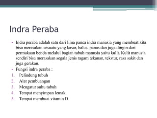 Indra Peraba
• Indra peraba adalah satu dari lima panca indra manusia yang membuat kita
bisa merasakan sesuatu yang kasar, halus, panas dan juga dingin dari
permukaan benda melalui bagian tubuh manusia yaitu kulit. Kulit manusia
sendiri bisa merasakan segala jenis ragam tekanan, tekstur, rasa sakit dan
juga gerakan.
• Fungsi indra peraba :
1. Pelindung tubuh
2. Alat pembuangan
3. Mengatur suhu tubuh
4. Tempat menyimpan lemak
5. Tempat membuat vitamin D
 