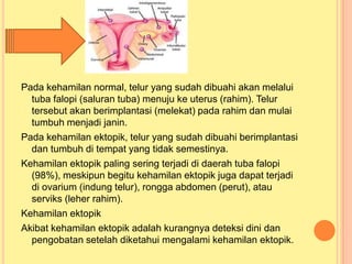Pada kehamilan normal, telur yang sudah dibuahi akan melalui
tuba falopi (saluran tuba) menuju ke uterus (rahim). Telur
tersebut akan berimplantasi (melekat) pada rahim dan mulai
tumbuh menjadi janin.
Pada kehamilan ektopik, telur yang sudah dibuahi berimplantasi
dan tumbuh di tempat yang tidak semestinya.
Kehamilan ektopik paling sering terjadi di daerah tuba falopi
(98%), meskipun begitu kehamilan ektopik juga dapat terjadi
di ovarium (indung telur), rongga abdomen (perut), atau
serviks (leher rahim).
Kehamilan ektopik
Akibat kehamilan ektopik adalah kurangnya deteksi dini dan
pengobatan setelah diketahui mengalami kehamilan ektopik.

 