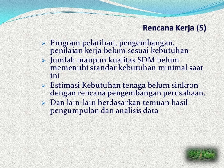 Tugas dan program kerja manager sdm