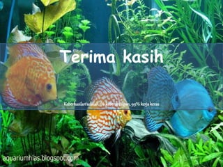 Terima kasih
Keberhasilan adalah1% keberuntugan,99%kerjakeras
 