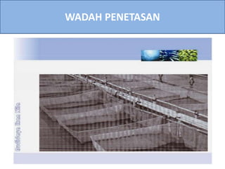 WADAH PENETASAN
 