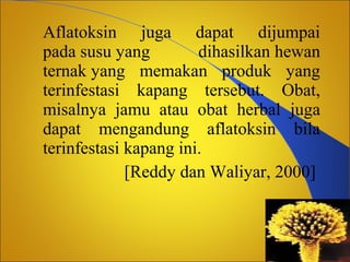 Aflatoksin juga dapat dijumpai
pada susu yang
dihasilkan hewan
ternak yang memakan produk yang
terinfestasi kapang tersebut. Obat,
misalnya jamu atau obat herbal juga
dapat mengandung aflatoksin bila
terinfestasi kapang ini.
[Reddy dan Waliyar, 2000]

 