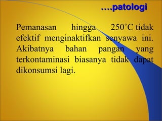 ….patologi
Pemanasan
hingga
250˚C tidak
efektif menginaktifkan senyawa ini.
Akibatnya bahan pangan yang
terkontaminasi biasanya tidak dapat
dikonsumsi lagi.

 