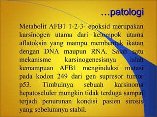 …patologi
Metabolit AFB1 1-2-3- epoksid merupakan
karsinogen utama dari kelompok utama
aflatoksin yang mampu membentuk ikatan
dengan DNA maupun RNA. Salah satu
mekanisme
karsinogenesisnya
ialah
kemampuan AFB1 menginduksi mutasi
pada kodon 249 dari gen supresor tumor
p53.
Timbulnya
sebuah
karsinoma
hepatoseluler mungkin tidak terduga sampai
terjadi penurunan kondisi pasien sirosis
yang sebelumnya stabil.

 