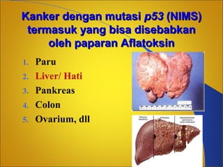 Kanker dengan mutasi p53 (NIMS)
termasuk yang bisa disebabkan
oleh paparan Aflatoksin
1.
2.
3.
4.
5.

Paru
Liver/ Hati
Pankreas
Colon
Ovarium, dll

 