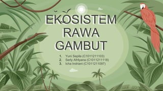EKOSISTEM
RAWA
GAMBUT
1. Yuni Sepila (C1011211103)
2. Serly Afrilyana (C1011211118)
3. Icha Indriani (C1011211097)
 