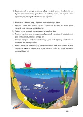 9 | P a g e
1) Berdasarkan aliran energi, organisme dibagi menjadi autotrof (tumbuhan), dan
fagotrof (makrokonsumen), yaitu karnivora predator, parasit, dan saprotrof atau
organisme yang hidup pada substrat sisa-sisa organisme.
2) Berdasarkan kebiasaan hidup, organisme dibedakan sebagai berikut.
a. Plankton; terdiri alas fitoplankton dan zooplankton; biasanya melayang-layang
(bergerak pasif) mengikuti gerak aliran air.
b. Nekton; hewan yang aktif berenang dalam air, misalnya ikan.
c. Neuston; organisme yang mengapung atau berenang di permukaan air atau bertempat
pada permukaan air, misalnya serangga air.
d. Perifiton; merupakan tumbuhan atau hewan yang melekat/bergantung pada tumbuhan
atau benda lain, misalnya keong.
e. Bentos; hewan dan tumbuhan yang hidup di dasar atau hidup pada endapan. Bentos
dapat sessil (melekat) atau bergerak bebas, misalnya cacing dan remis. perhatikan
gambar di bawah ini
 