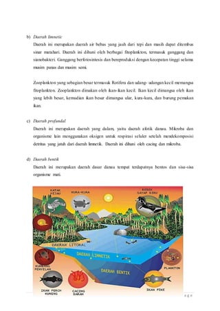 11 | P a g e
b) Daerah limnetic
Daerah ini merupakan daerah air bebas yang jauh dari tepi dan masih dapat ditembus
sinar matahari. Daerah ini dihuni oleh berbagai fitoplankton, termasuk ganggang dan
sianobakteri. Ganggang berfotosintesis dan bereproduksi dengan kecepatan tinggi selama
musim panas dan musim semi.
Zooplankton yang sebagian besar termasuk Rotifera dan udang- udangan kecil memangsa
fitoplankton. Zooplankton dimakan oleh ikan-ikan kecil. Ikan kecil dimangsa oleh ikan
yang lebih besar, kemudian ikan besar dimangsa ular, kura-kura, dan burung pemakan
ikan.
c) Daerah profundal
Daerah ini merupakan daerah yang dalam, yaitu daerah afotik danau. Mikroba dan
organisme lain menggunakan oksigen untuk respirasi seluler setelah mendekomposisi
detritus yang jatuh dari daerah limnetik. Daerah ini dihuni oleh cacing dan mikroba.
d) Daerah bentik
Daerah ini merupakan daerah dasar danau tempat terdapatnya bentos dan sisa-sisa
organisme mati.
 