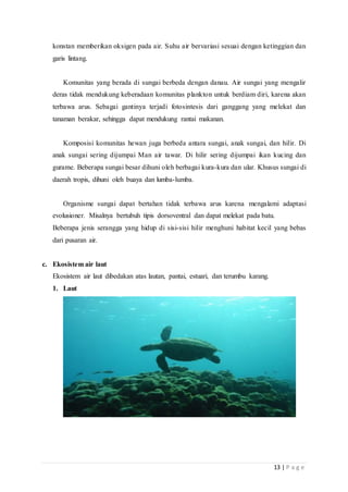 13 | P a g e
konstan memberikan oksigen pada air. Suhu air bervariasi sesuai dengan ketinggian dan
garis lintang.
Komunitas yang berada di sungai berbeda dengan danau. Air sungai yang mengalir
deras tidak mendukung keberadaan komunitas plankton untuk berdiam diri, karena akan
terbawa arus. Sebagai gantinya terjadi fotosintesis dari ganggang yang melekat dan
tanaman berakar, sehingga dapat mendukung rantai makanan.
Komposisi komunitas hewan juga berbeda antara sungai, anak sungai, dan hilir. Di
anak sungai sering dijumpai Man air tawar. Di hilir sering dijumpai ikan kucing dan
gurame. Beberapa sungai besar dihuni oleh berbagai kura-kura dan ular. Khusus sungai di
daerah tropis, dihuni oleh buaya dan lumba-lumba.
Organisme sungai dapat bertahan tidak terbawa arus karena mengalami adaptasi
evolusioner. Misalnya bertubuh tipis dorsoventral dan dapat melekat pada batu.
Beberapa jenis serangga yang hidup di sisi-sisi hilir menghuni habitat kecil yang bebas
dari pusaran air.
c. Ekosistem air laut
Ekosistem air laut dibedakan atas lautan, pantai, estuari, dan terumbu karang.
1. Laut
 