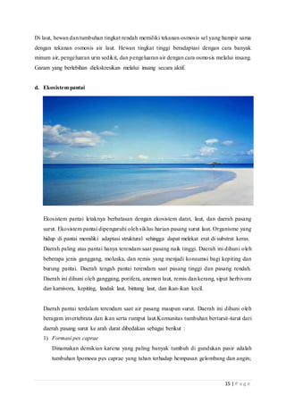 15 | P a g e
Di laut, hewan dan tumbuhan tingkat rendah memiliki tekanan osmosis sel yang hampir sama
dengan tekanan osmosis air laut. Hewan tingkat tinggi beradaptasi dengan cara banyak
minum air, pengeluaran urin sedikit, dan pengeluaran air dengan cara osmosis melalui insang.
Garam yang berlebihan diekskresikan melalui insang secara aktif.
d. Ekosistem pantai
Ekosistem pantai letaknya berbatasan dengan ekosistem darat, laut, dan daerah pasang
surut. Ekosistem pantai dipengaruhi oleh siklus harian pasang surut laut. Organisme yang
hidup di pantai memiliki adaptasi struktural sehingga dapat melekat erat di substrat keras.
Daerah paling atas pantai hanya terendam saat pasang naik tinggi. Daerah ini dihuni oleh
beberapa jenis ganggang, moluska, dan remis yang menjadi konsumsi bagi kepiting dan
burung pantai. Daerah tengah pantai terendam saat pasang tinggi dan pasang rendah.
Daerah ini dihuni oleh ganggang, porifera, anemon laut, remis dan kerang, siput herbivora
dan karnivora, kepiting, landak laut, bintang laut, dan ikan-ikan kecil.
Daerah pantai terdalam terendam saat air pasang maupun surut. Daerah ini dihuni oleh
beragam invertebrata dan ikan serta rumput laut.Komunitas tumbuhan berturut-turut dari
daerah pasang surut ke arah darat dibedakan sebagai berikut :
1) Formasi pes caprae
Dinamakan demikian karena yang paling banyak tumbuh di gundukan pasir adalah
tumbuhan Ipomoea pes caprae yang tahan terhadap hempasan gelombang dan angin;
 