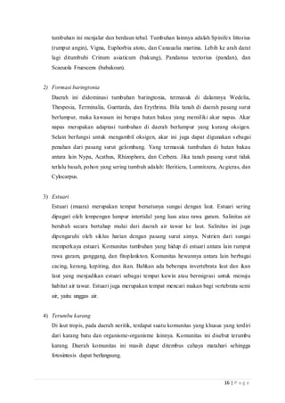 16 | P a g e
tumbuhan ini menjalar dan berdaun tebal. Tumbuhan lainnya adalah Spinifex littorius
(rumput angin), Vigna, Euphorbia atoto, dan Canaualia martina. Lebih ke arah darat
lagi ditumbuhi Crinum asiaticum (bakung), Pandanus tectorius (pandan), dan
Scaeuola Fruescens (babakoan).
2) Formasi baringtonia
Daerah ini didominasi tumbuhan baringtonia, termasuk di dalamnya Wedelia,
Thespesia, Terminalia, Guettarda, dan Erythrina. Bila tanah di daerah pasang surut
berlumpur, maka kawasan ini berupa hutan bakau yang memiliki akar napas. Akar
napas merupakan adaptasi tumbuhan di daerah berlumpur yang kurang oksigen.
Selain berfungsi untuk mengambil oksigen, akar ini juga dapat digunakan sebagai
penahan dari pasang surut gelombang. Yang termasuk tumbuhan di hutan bakau
antara lain Nypa, Acathus, Rhizophora, dan Cerbera. Jika tanah pasang surut tidak
terlalu basah, pohon yang sering tumbuh adalah: Heriticra, Lumnitzera, Acgicras, dan
Cylocarpus.
3) Estuari
Estuari (muara) merupakan tempat bersatunya sungai dengan laut. Estuari sering
dipagari oleh lempengan lumpur intertidal yang luas atau rawa garam. Salinitas air
berubah secara bertahap mulai dari daerah air tawar ke laut. Salinitas ini juga
dipengaruhi oleh siklus harian dengan pasang surut aimya. Nutrien dari sungai
memperkaya estuari. Komunitas tumbuhan yang hidup di estuari antara lain rumput
rawa garam, ganggang, dan fitoplankton. Komunitas hewannya antara lain berbagai
cacing, kerang, kepiting, dan ikan. Bahkan ada beberapa invertebrata laut dan ikan
laut yang menjadikan estuari sebagai tempat kawin atau bermigrasi untuk menuju
habitat air tawar. Estuari juga merupakan tempat mencari makan bagi vertebrata semi
air, yaitu unggas air.
4) Terumbu karang
Di laut tropis, pada daerah neritik, terdapat suatu komunitas yang khusus yang terdiri
dari karang batu dan organisme-organisme lainnya. Komunitas ini disebut terumbu
karang. Daerah komunitas ini masih dapat ditembus cahaya matahari sehingga
fotosintesis dapat berlangsung.
 