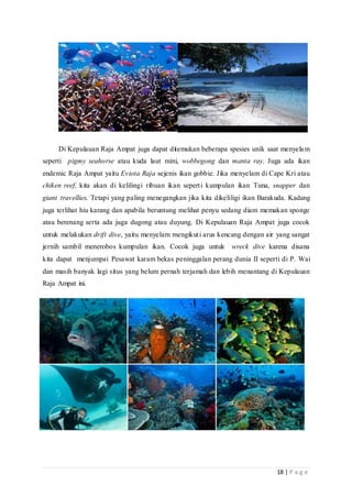 18 | P a g e
Di Kepulauan Raja Ampat juga dapat ditemukan beberapa spesies unik saat menyelam
seperti pigmy seahorse atau kuda laut mini, wobbegong dan manta ray. Juga ada ikan
endemic Raja Ampat yaitu Eviota Raja sejenis ikan gobbie. Jika menyelam di Cape Kri atau
chiken reef, kita akan di kelilingi ribuan ikan seperti kumpulan ikan Tuna, snapper dan
giant travellies. Tetapi yang paling menegangkan jika kita dikeliligi ikan Barakuda. Kadang
juga terlihat hiu karang dan apabila beruntung melihat penyu sedang diam memakan sponge
atau berenang serta ada juga dugong atau duyung. Di Kepulauan Raja Ampat juga cocok
untuk melakukan drift dive, yaitu menyelam mengikuti arus kencang dengan air yang sangat
jernih sambil menerobos kumpulan ikan. Cocok juga untuk wreck dive karena disana
kita dapat menjumpai Pesawat karam bekas peninggalan perang dunia II seperti di P. Wai
dan masih banyak lagi situs yang belum pernah terjamah dan lebih menantang di Kepulauan
Raja Ampat ini.
 