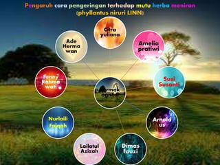 Pengaruh cara pengeringan terhadap mutu herba meniran
(phyllantus niruri LINN)
Farmak
ognosi
Citra
yuliana
Amelia
pratiwi
Susi
Susanti
Arnold
us
Dimas
fauzi
Lailatul
Azizah
Nurlaili
Faiqoh
Fenny
Rahma
wati
Ade
Herma
wan
 