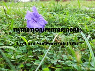 FILTRATION(PENYARINGAN)

 By: Rara Nurwansyah Putri
 