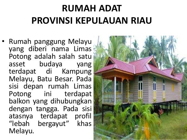 Nama Rumah Adat Riau - Rumah adat amp tarian tradisional 