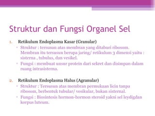 Struktur dan Fungsi Organel Sel
1. Retikulum Endoplasma Kasar (Granular)
▫ Struktur : tersusun atas membran yang ditaburi ribosom.
Membran itu tersusun berupa jaring/ retikulum 3 dimensi yaitu :
sisterna , tubulus, dan vesikel.
▫ Fungsi : membuat unsur protein dari sekret dan disimpan dalam
ruang intrasisterna.
2. Retikulum Endoplasma Halus (Agranular)
▫ Struktur : Tersusun atas membran permukaan licin tanpa
ribosom, berbentuk tubular/ vesikular, bukan sisternal.
▫ Fungsi : Biosintesis hormon-hormon steroid yakni sel leydigdan
korpus luteum.
 